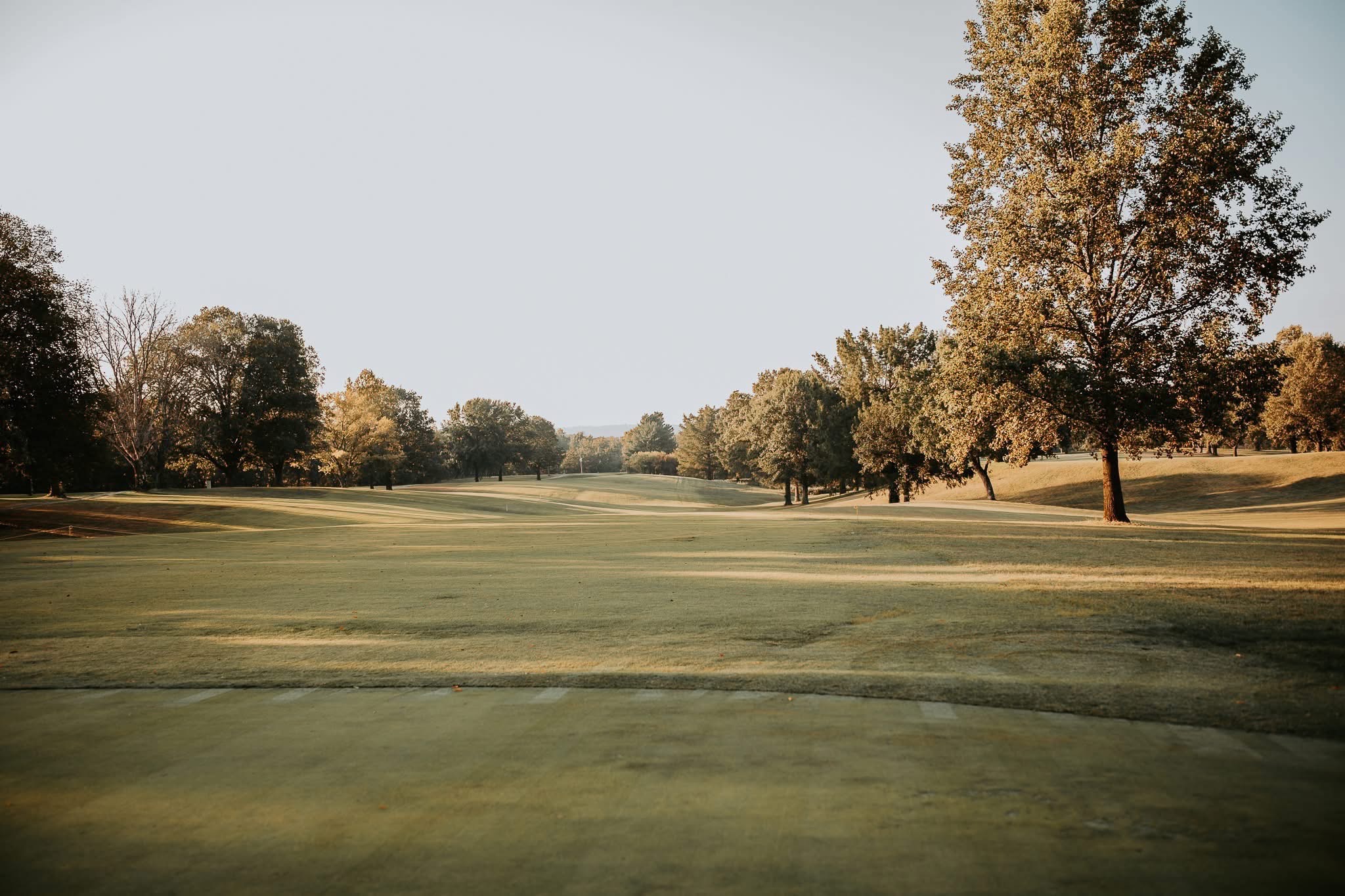 Image of golf ball on tee on grass.