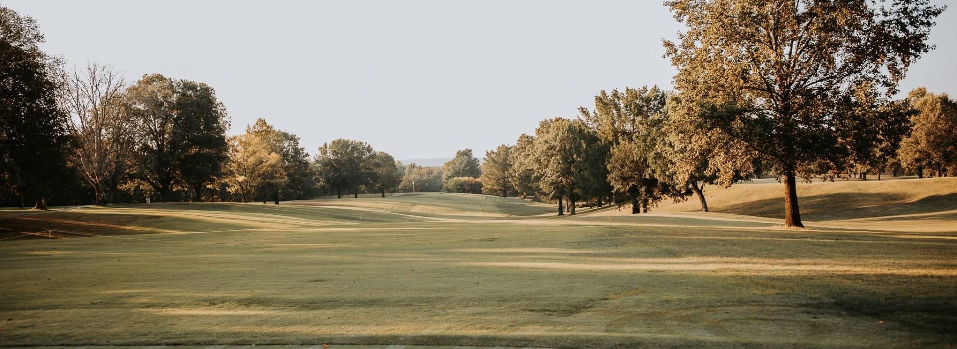 Golf course green