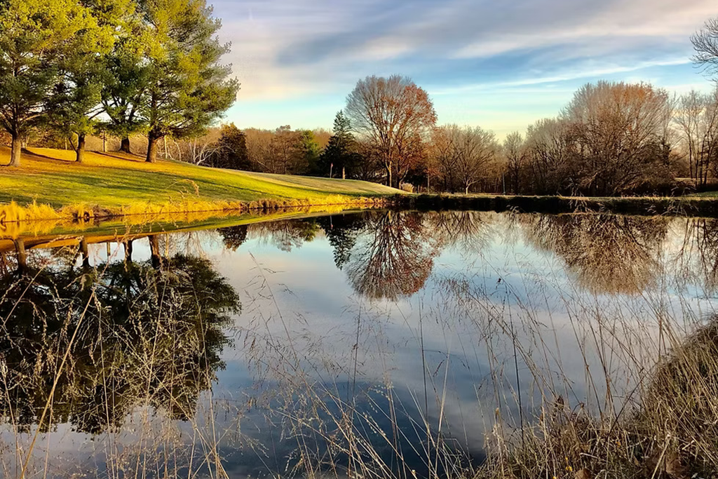 Golf course pond 